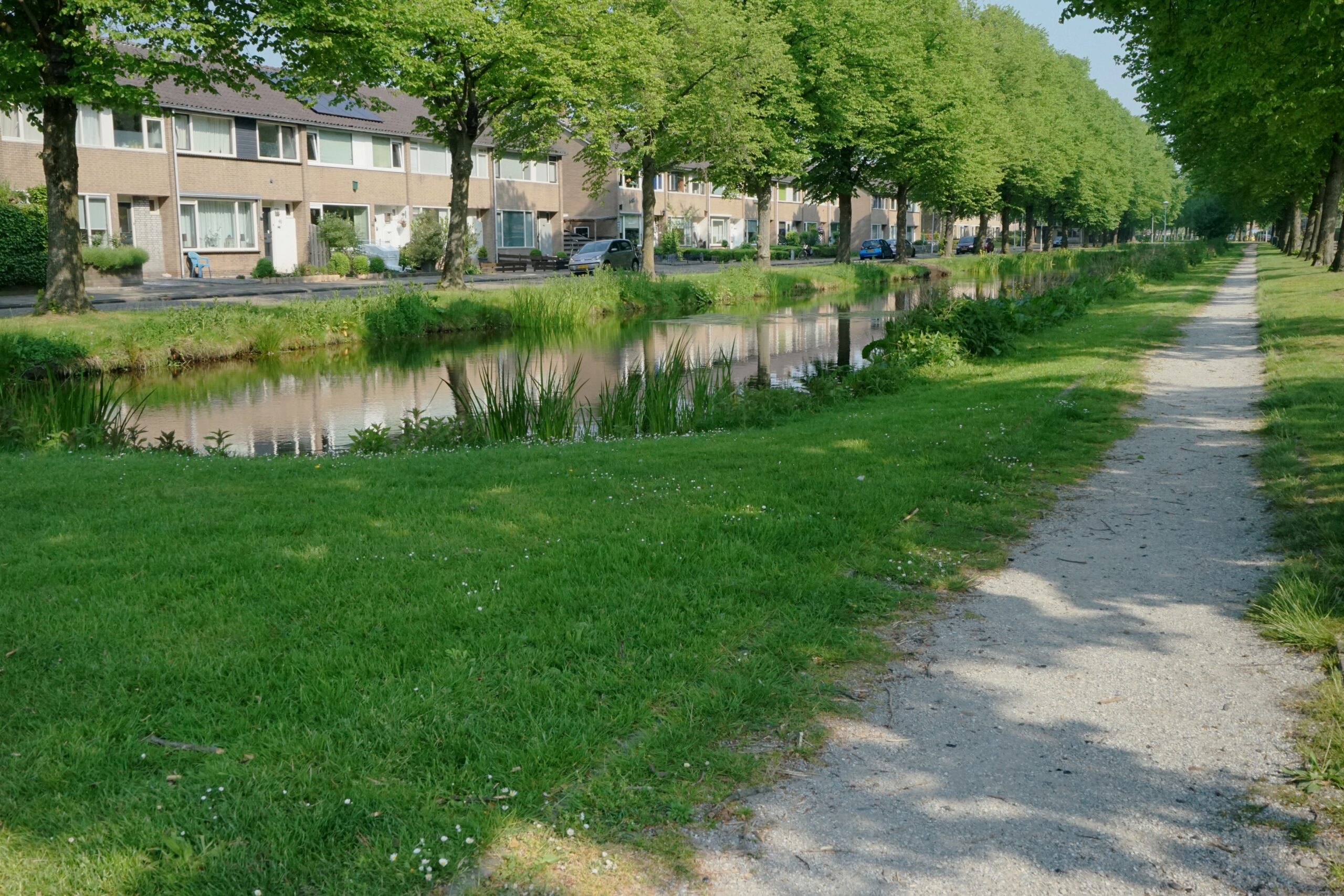De Swetten