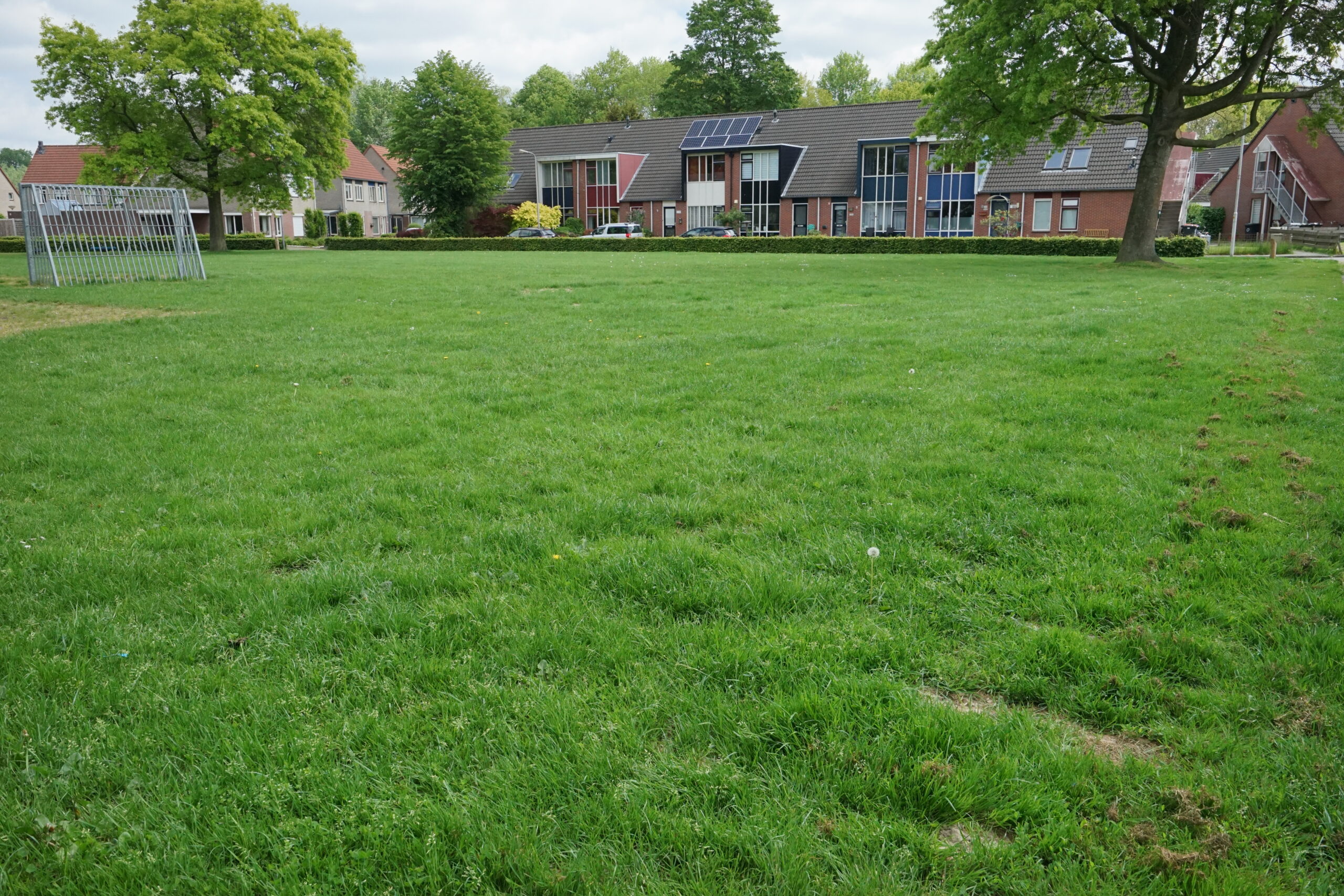 De Trisken