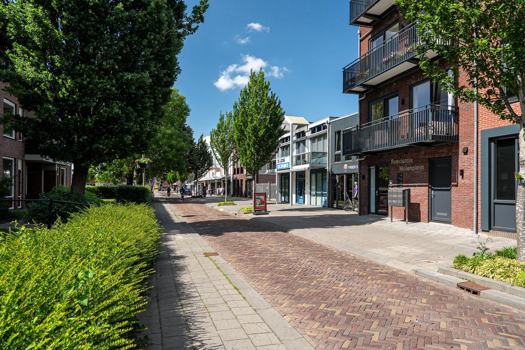 van Riesenstraat 3 - Gallery item 23