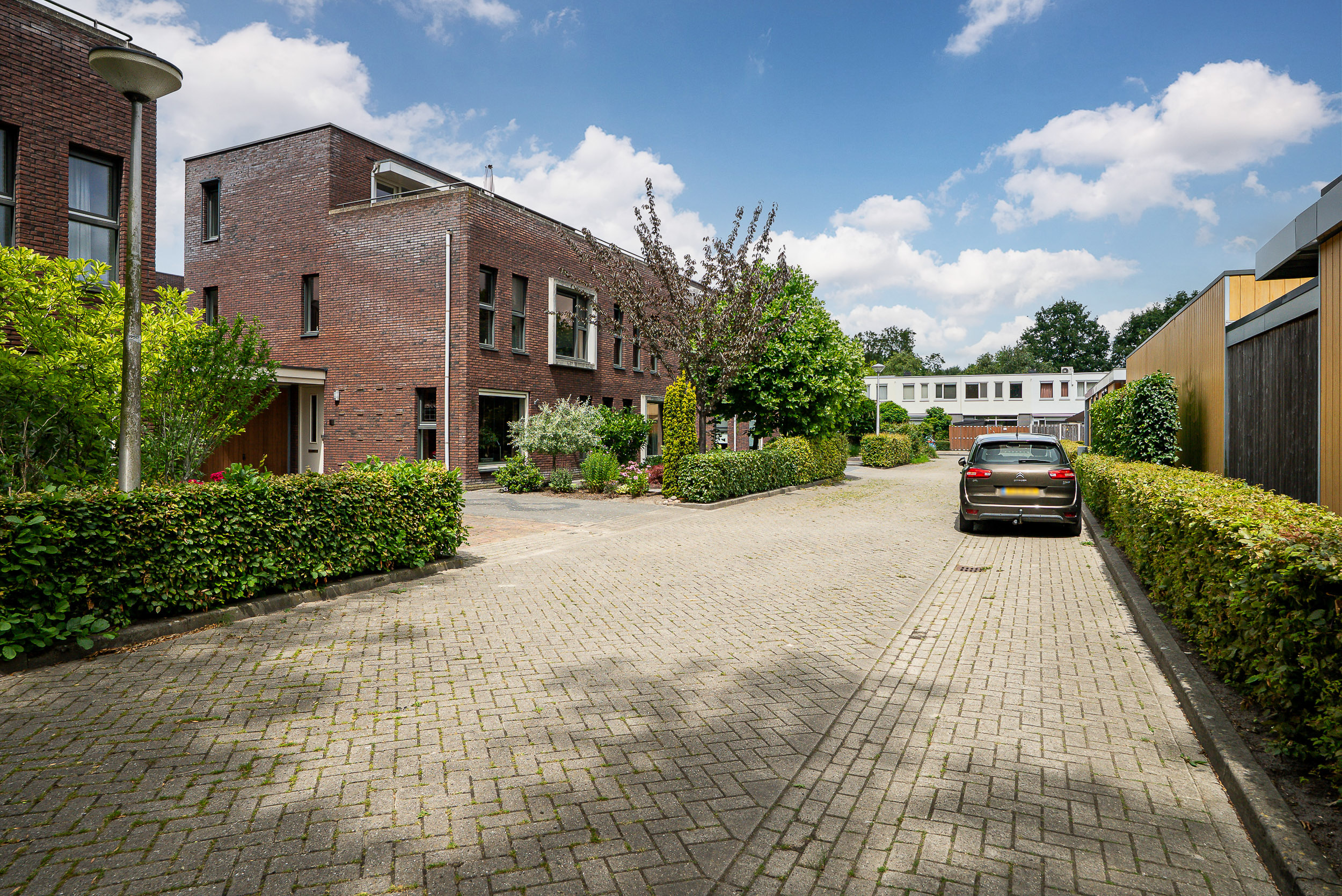 de Weeren 8 - Gallery item 38
