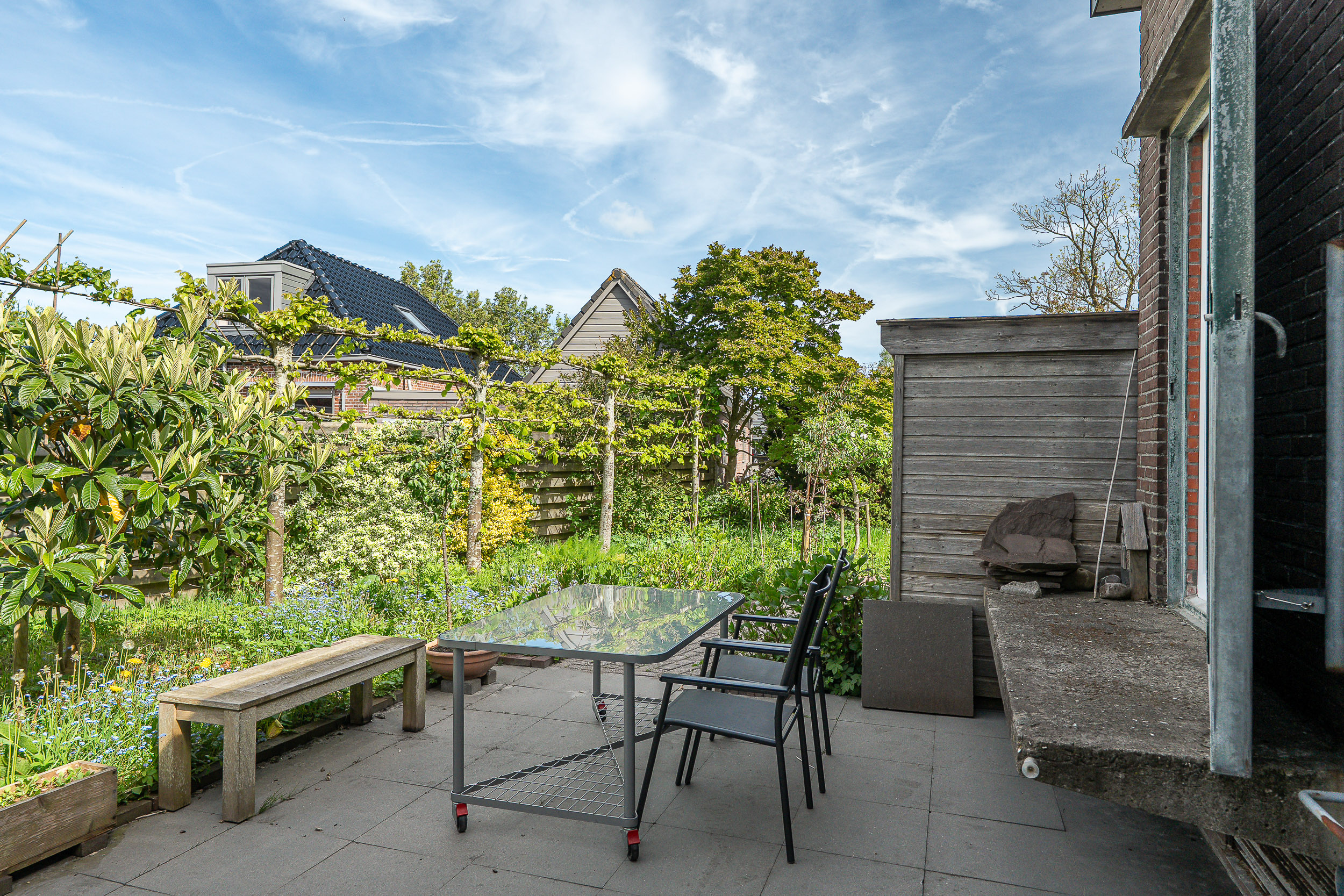 Betterwird 12 - Gallery item 36