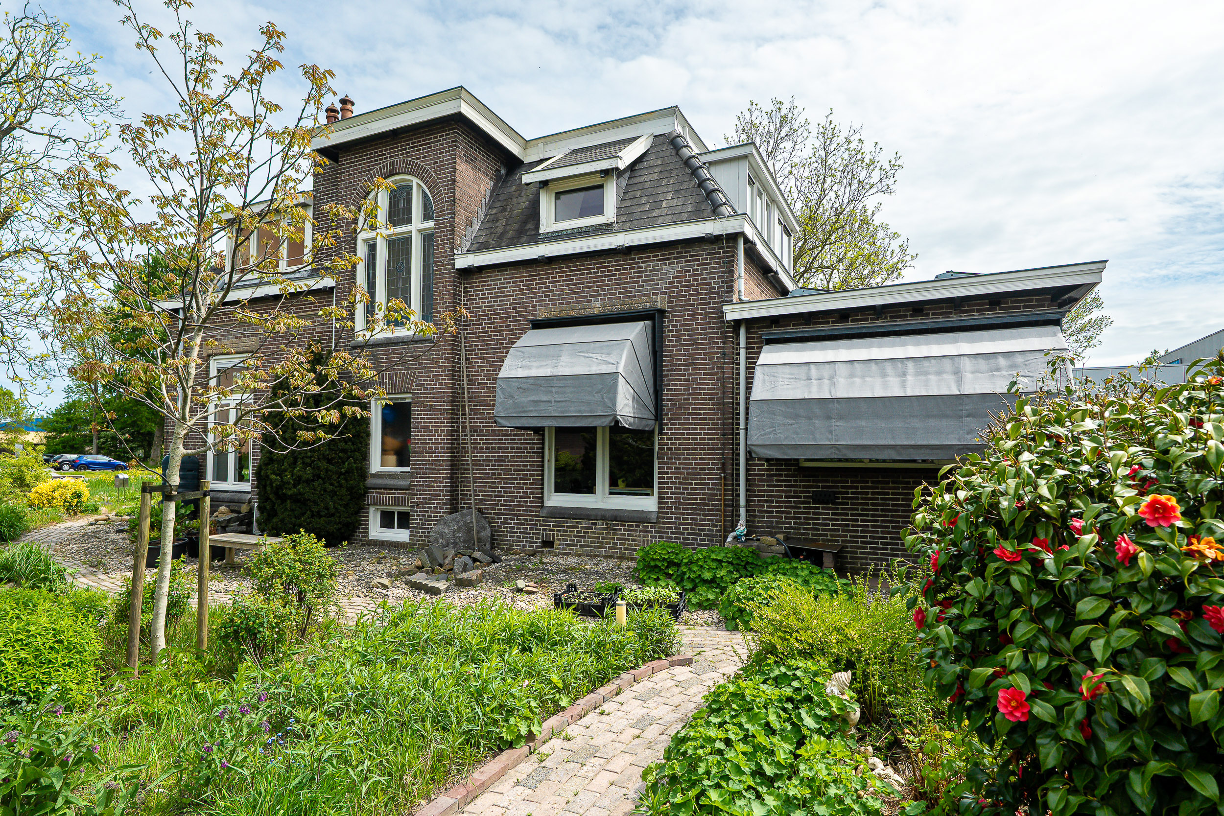 Betterwird 12 - Gallery item 65