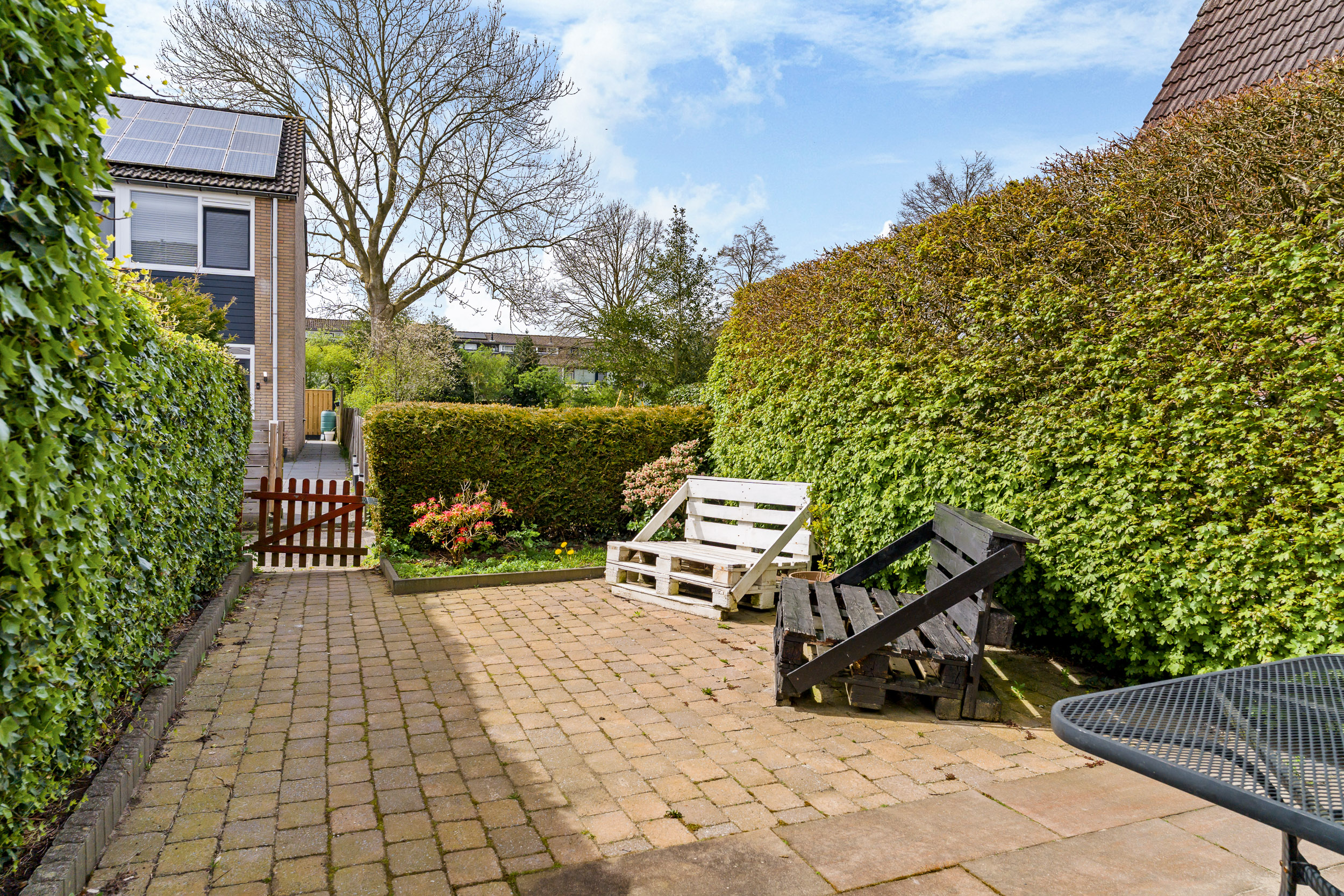Wilgenroosje 33 - Gallery item 33