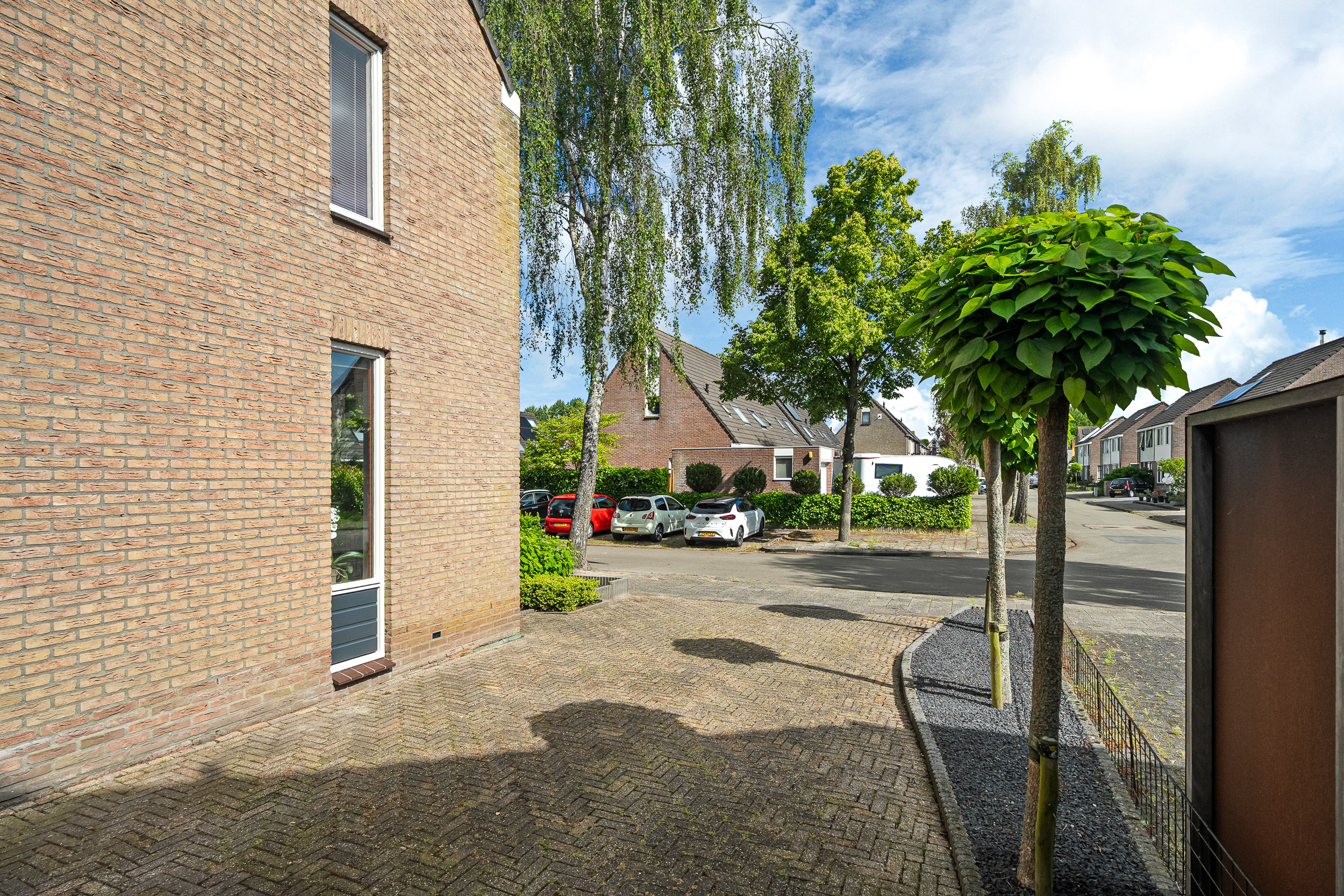 Solckamastins 12 - Gallery item 44