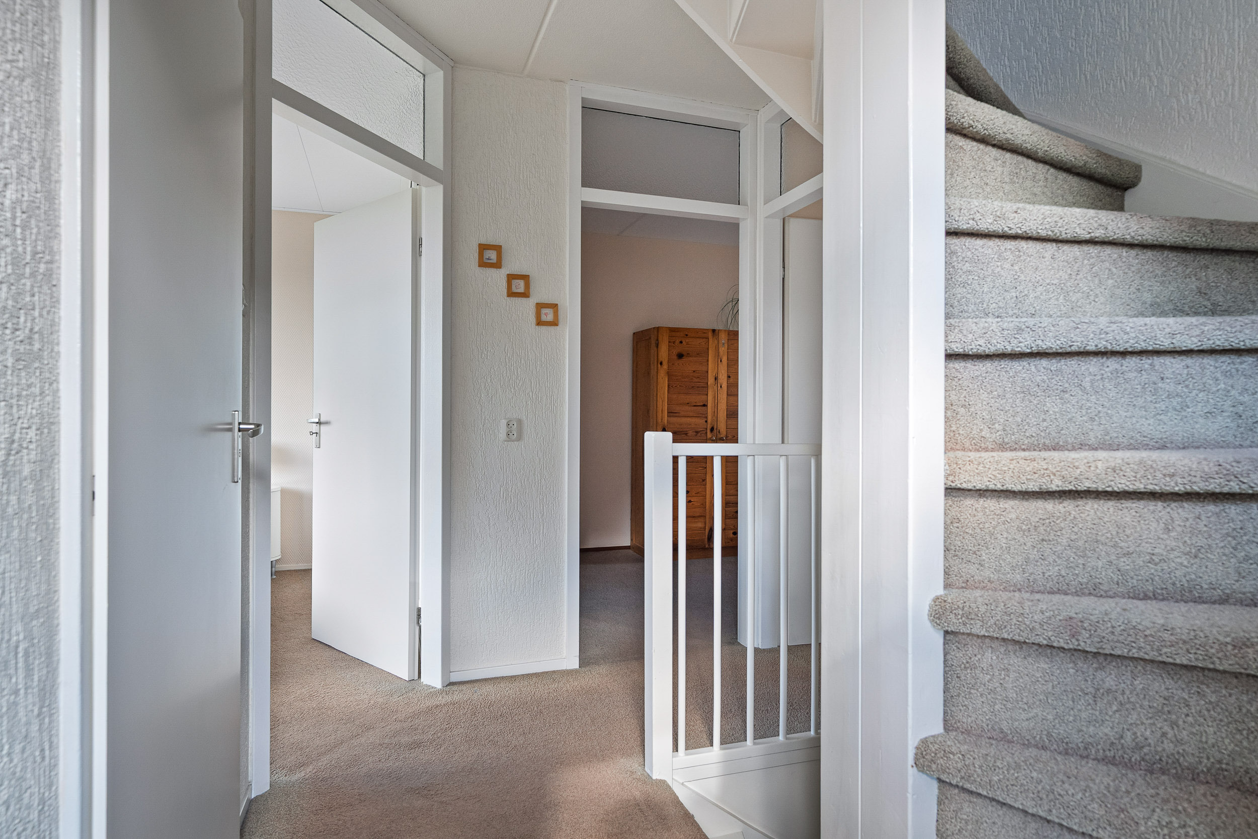 Solckamastins 12 - Gallery item 27