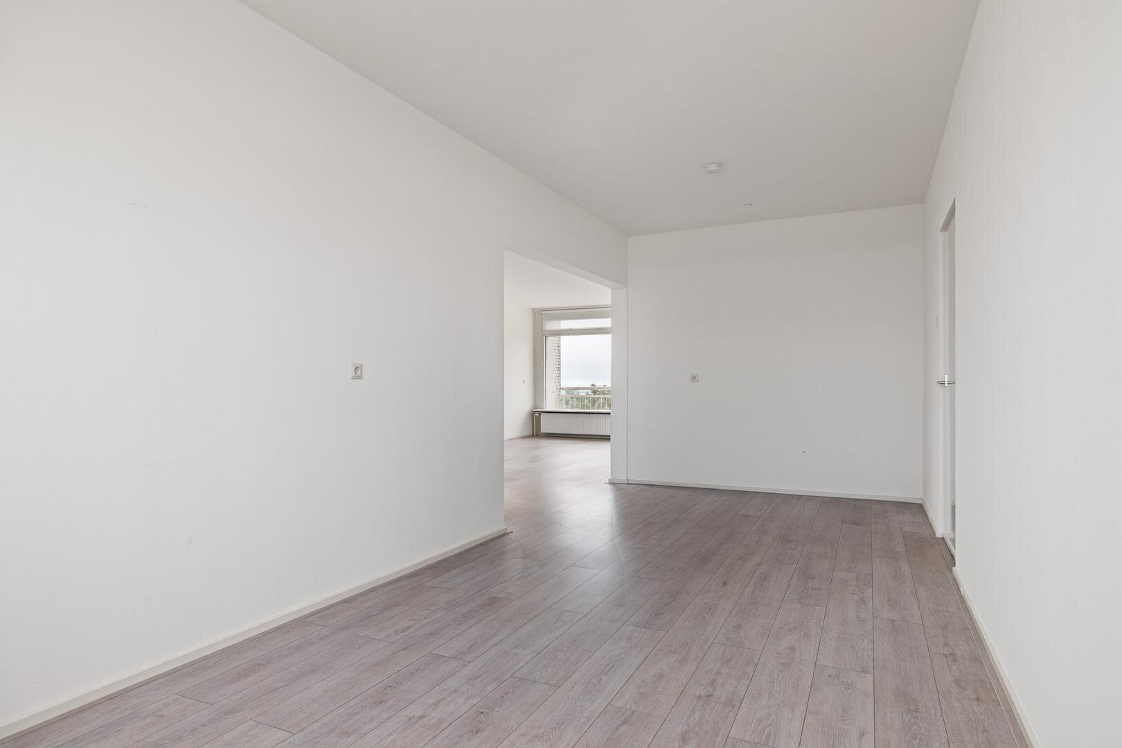 0209fdeda32ebe79f6cf2e7665e29424.jpg