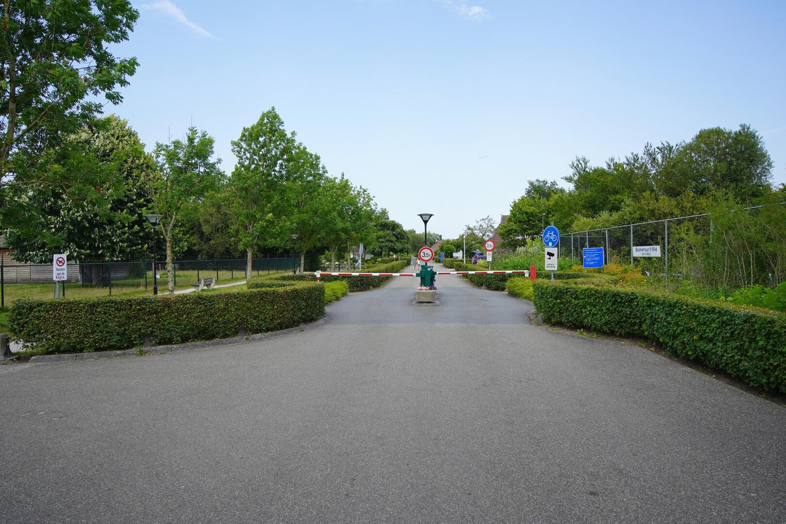 3fc47ac35ea47dbb62cb35ef2e8d98ad.jpg