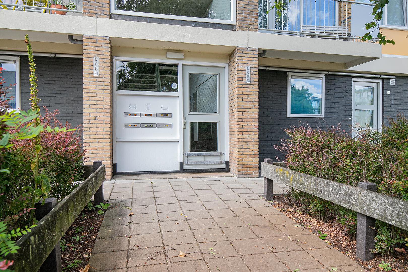 bfcc6a1bed337541c9b4444915017dd4.jpg