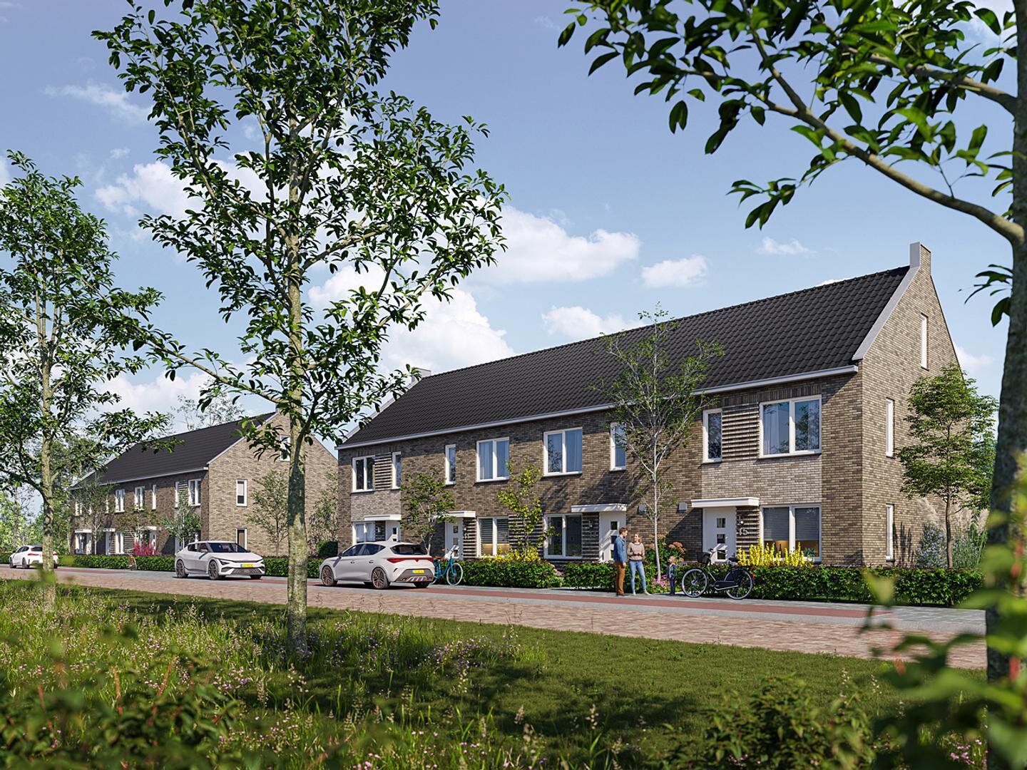 2500238 - Zwanenburg - Mooi St