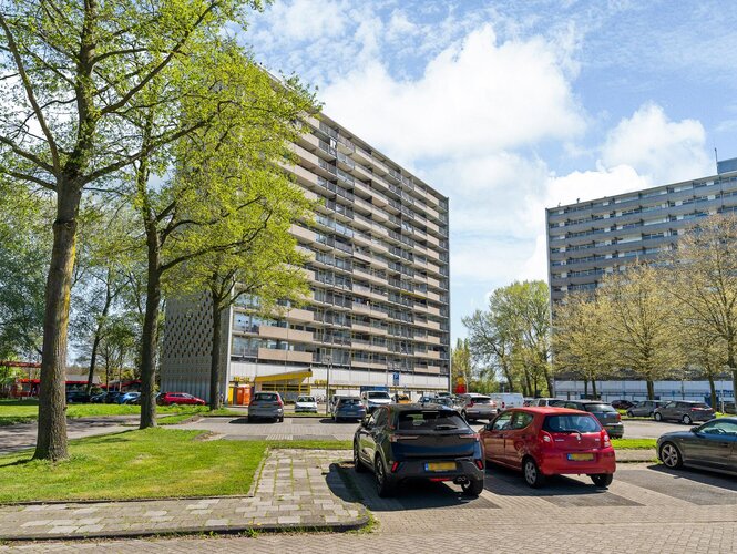 Tjaarda 308 DRACHTEN