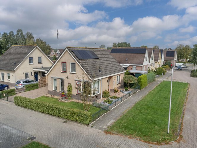 Dumnysbosk 7 NIJ BEETS