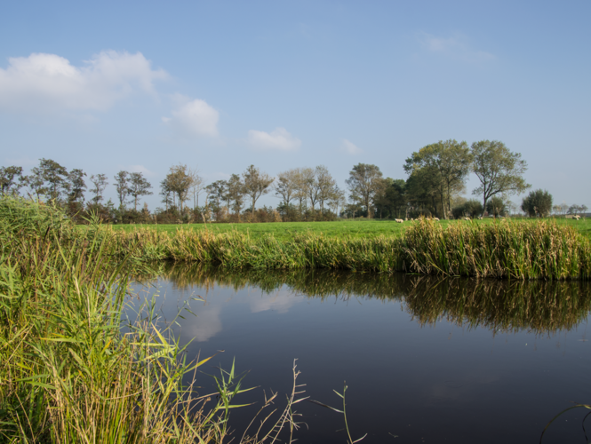 Vrije kavels aan het water Leeuwarden Vrije kavels aan het water Leeuwarden