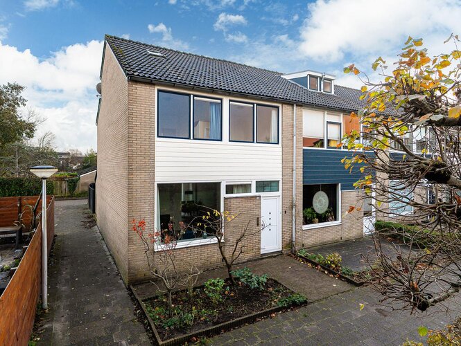 Waterbies 30 LEEUWARDEN