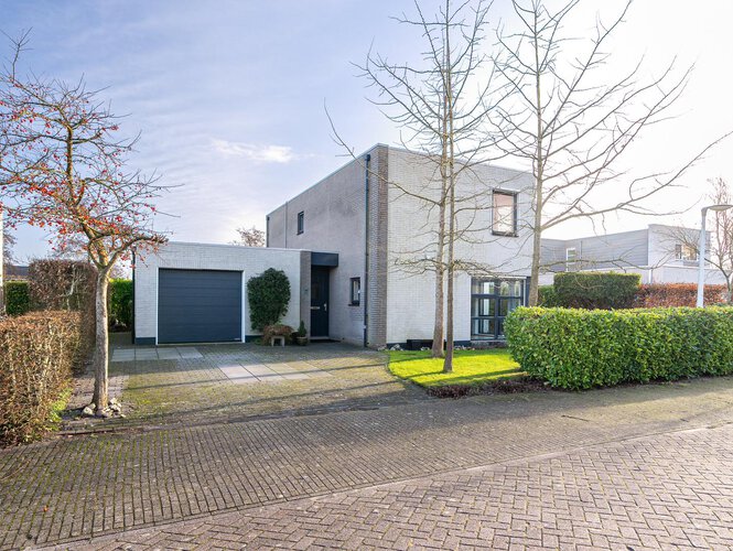 Wite Finne 35 GOUTUM