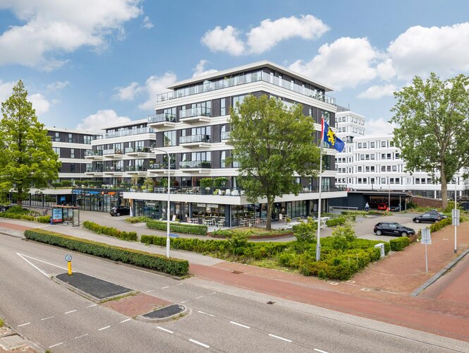 Reviusstraat 45 LEEUWARDEN